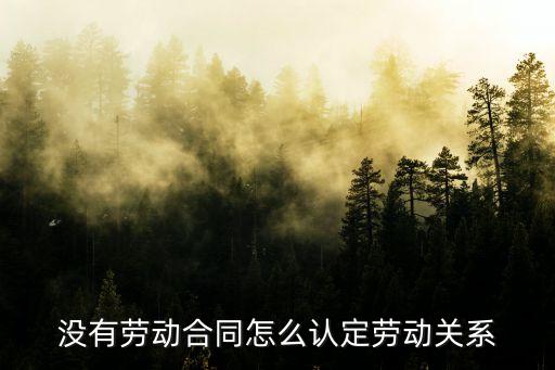 沒有勞動合同怎么認定勞動關系