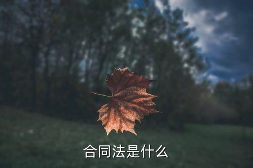 合同法是什么