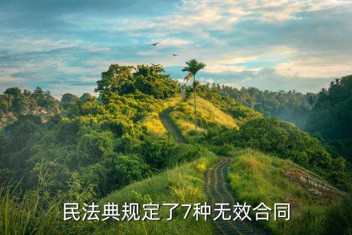 民法典規(guī)定了7種無(wú)效合同