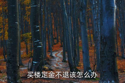 買樓定金不退該怎么辦