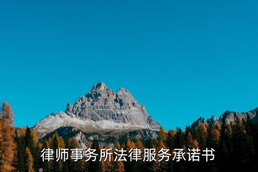 律師事務(wù)所法律服務(wù)承諾書