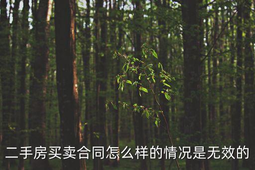 二手房合同無效的條件，二手房買賣合同怎么樣的情況是無效的