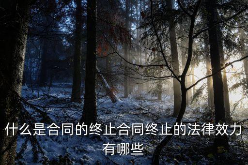 什么是合同的終止合同終止的法律效力有哪些