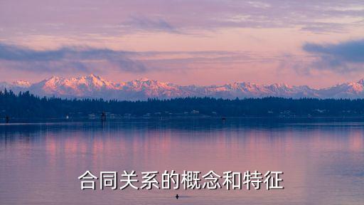 合同關(guān)系屬于什么法律關(guān)系類型的，合同法法律關(guān)系的分類