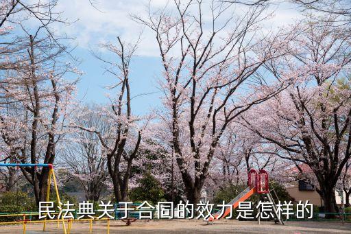 民法典規(guī)定的合同效力及其情形，民法典關(guān)于合同的效力是怎樣的