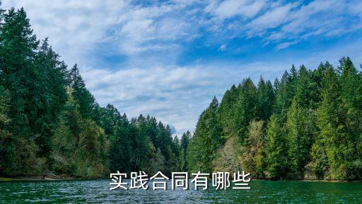 法律規(guī)定的實(shí)踐合同有哪些，實(shí)踐合同有哪些