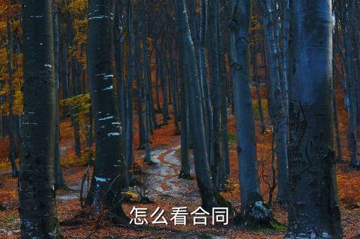 如何看懂投資法律合同，投資協(xié)議應(yīng)該包含哪些內(nèi)容