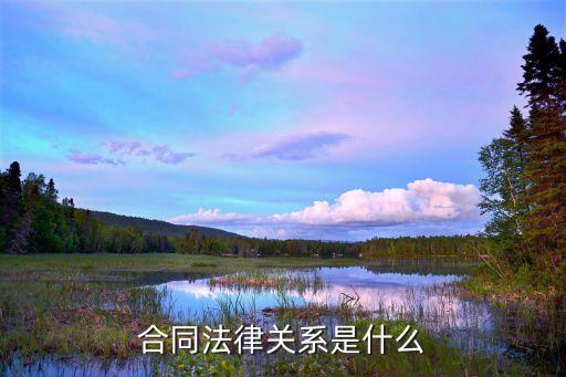 合同法律關系是什么