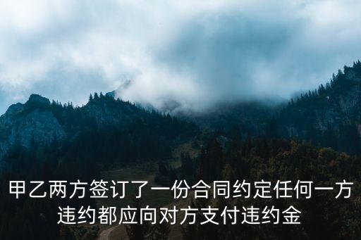 甲乙雙方任何一方違約的合同，甲乙兩方簽訂了一份合同約定任何一方違約都應(yīng)向?qū)Ψ街Ц哆`約金