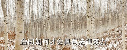 簽訂合同如何產(chǎn)生法律效應(yīng)，合同如何才會具有法律效力