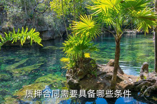 質(zhì)押合同有什么要求嗎法律規(guī)定，質(zhì)押合同需要具備哪些條件