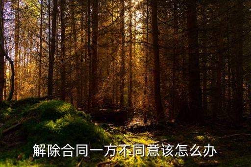 解除合同一方不同意該怎么辦