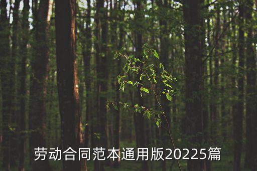 勞動合同范本通用版20225篇