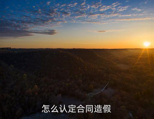 怎么認(rèn)定合同造假