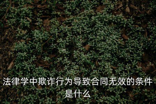 欺詐會(huì)導(dǎo)致合同無(wú)效嗎為什么，以欺詐手段訂立的合同的效力問(wèn)題