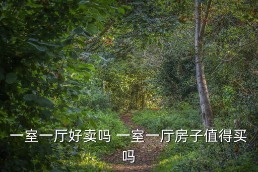 一室一廳好賣嗎 一室一廳房子值得買嗎