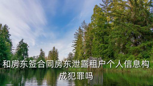 和房東簽合同房東泄露租戶個人信息構(gòu)成犯罪嗎