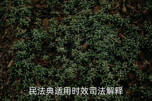司法解釋民法典的適用，民法典司法解釋理解與適用