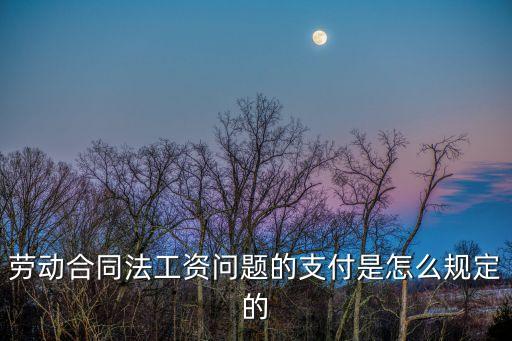 合同法律規(guī)定工資如何發(fā)放，合同法工資發(fā)放規(guī)定是什么