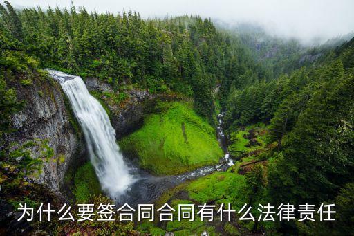 合同具有哪些法律責(zé)任，為什么要簽合同合同有什么法律責(zé)任