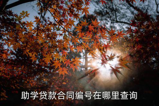 助學(xué)貸款合同編號查詢系統(tǒng)，助學(xué)貸款合同編號在哪里查詢