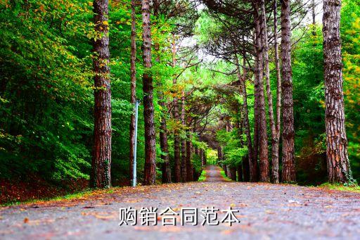 購銷合同范本圖片 銀行貸款，購銷合同范本