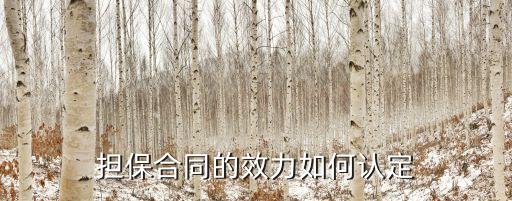 擔(dān)保合同法律效力如何判斷，擔(dān)保合同的效力如何認(rèn)定