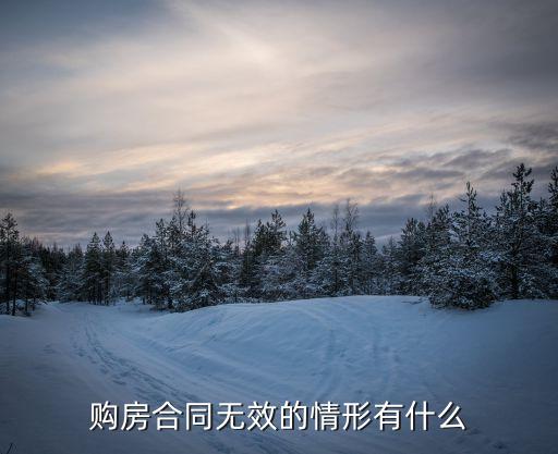 購房合同無效的情形有什么