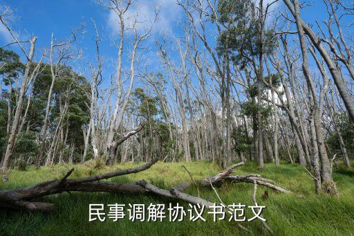 怎樣寫民事調(diào)解協(xié)議書(shū)范本，民事調(diào)解協(xié)議書(shū)范文