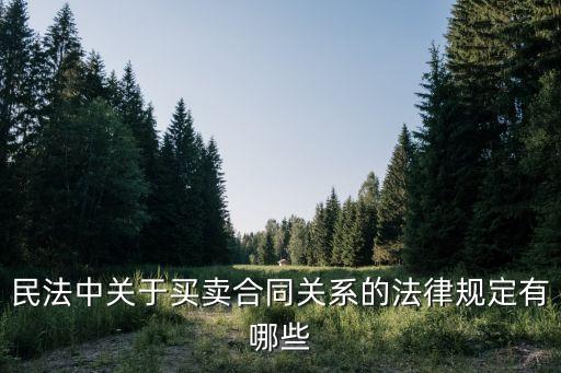 民法中關(guān)于買賣合同關(guān)系的法律規(guī)定有哪些