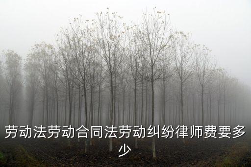 泰州合同法律師如何收費，泰州律師收費標(biāo)準(zhǔn)