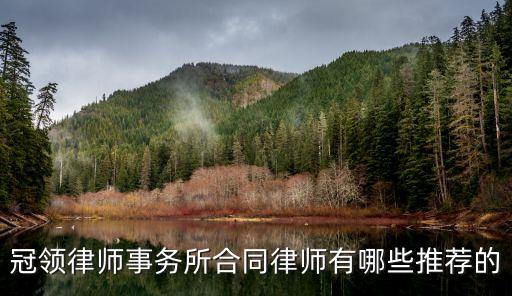 合同法律師有哪些，廣州合同法律師