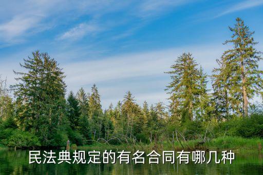 法律規(guī)定的有名合同有哪些，民法典規(guī)定了多少種有名合同