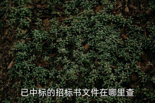 已中標(biāo)的招標(biāo)書文件在哪里查