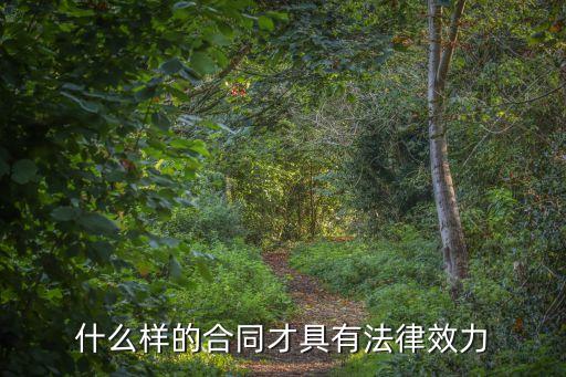 什么合同才具有法律效力的條款，什么樣的合同才具有法律效力