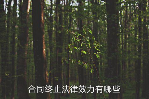 合同終止的效力有哪些，什么是合同的終止合同終止的法律效力有哪些