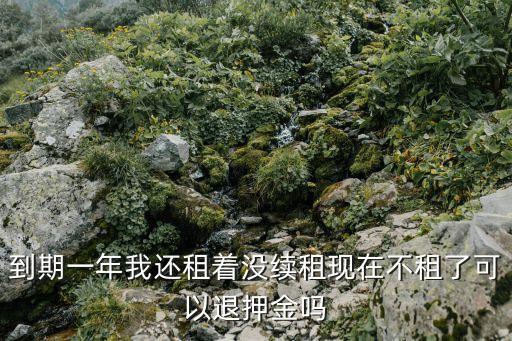到期一年我還租著沒續(xù)租現(xiàn)在不租了可以退押金嗎