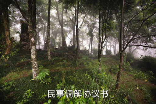 民事調(diào)解協(xié)議書