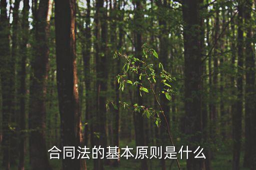 合同法的基本原則是什么