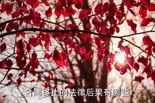 合同終止的法律后果有哪些