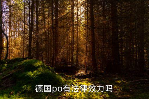 po和合同的法律效力，德國po有法律效力嗎