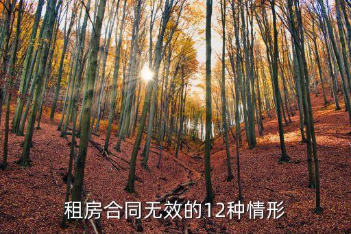 租房合同無(wú)效的12種情形