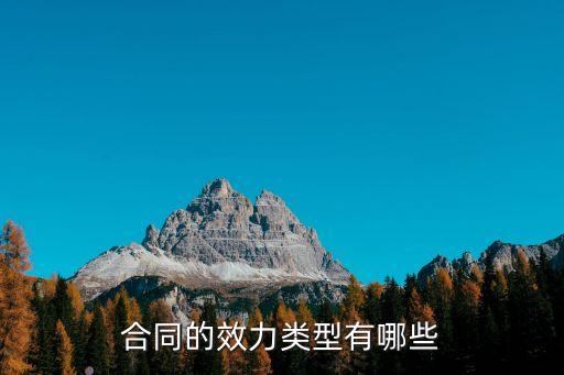 合同的效力類型有哪些