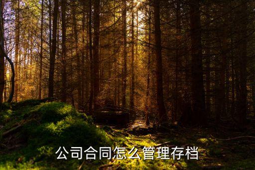 公司合同怎么管理存檔
