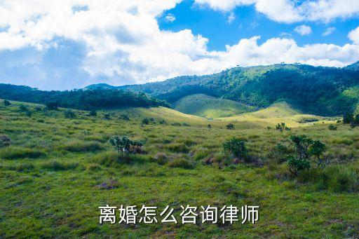 律師咨詢(xún) 離婚，律師咨詢(xún)離婚