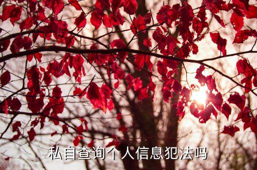 私自調(diào)查別人信息可以起訴嗎，公安局私自查詢別人信息怎么舉報(bào)