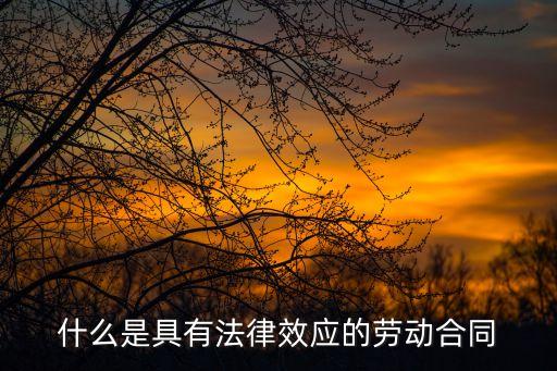 合同上是具備法律什么意思，商品房認購書上寫的具備法律效力是什么意思