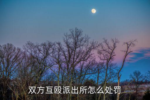 雙方互毆派出所怎么處罰