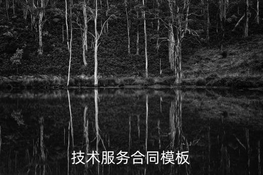 技術(shù)服務(wù)的合同模板，技術(shù)服務(wù)合同模板