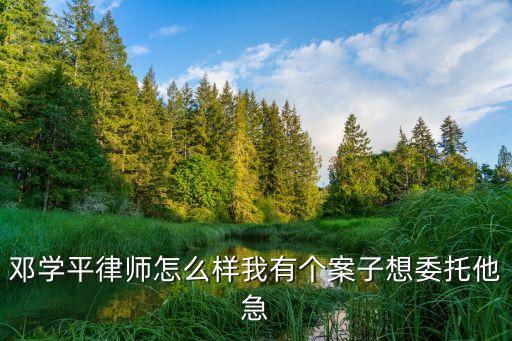 鄧學平律師怎么樣我有個案子想委托他急